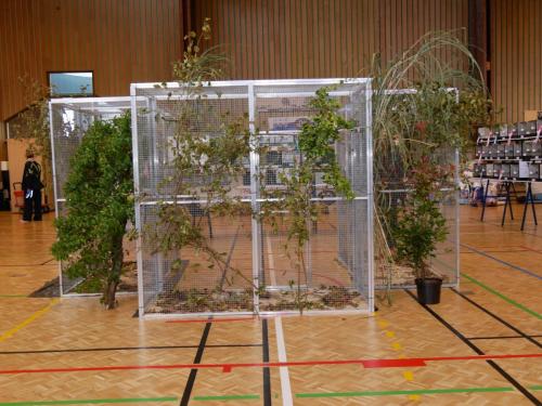 Expo 2024